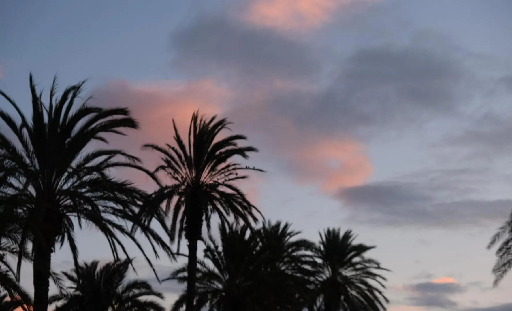 Cal Xot Guest House El Poblenou del Delta Country house